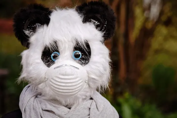 SpinShake Casino Ënnerstëtzung